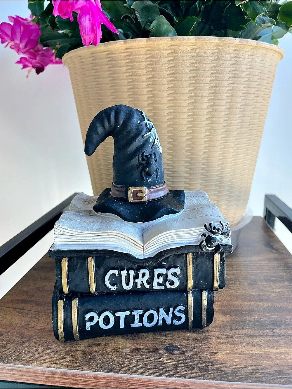 Black & White Witch Hat Cures Potions Halloween Decor